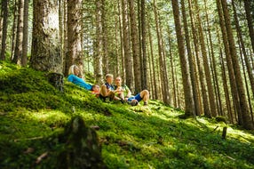 Entspannung-im-Wald-Region-Rauris © SalzburgerLand Tourismus Entspannung-im-Wald-Region-Rauris © SalzburgerLand Tourismus