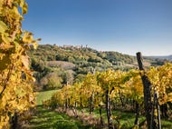 Region-Suedoststeiermark © Oesterreich-Werbung Foto Harald Eisenberger Region-Suedoststeiermark © Oesterreich-Werbung Foto Harald Eisenberger