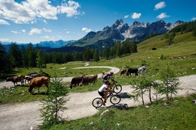 Mountainbiking-bei-Filzmoos-Salzburger-Land © Oesterreich-Werbung Foto Leo Himsl