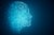 The two routes to artificial intelligence