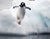 Study reveals climate change impact on Antarctic penguins