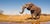 Ear to the ground: Locating elephants using ground vibrations