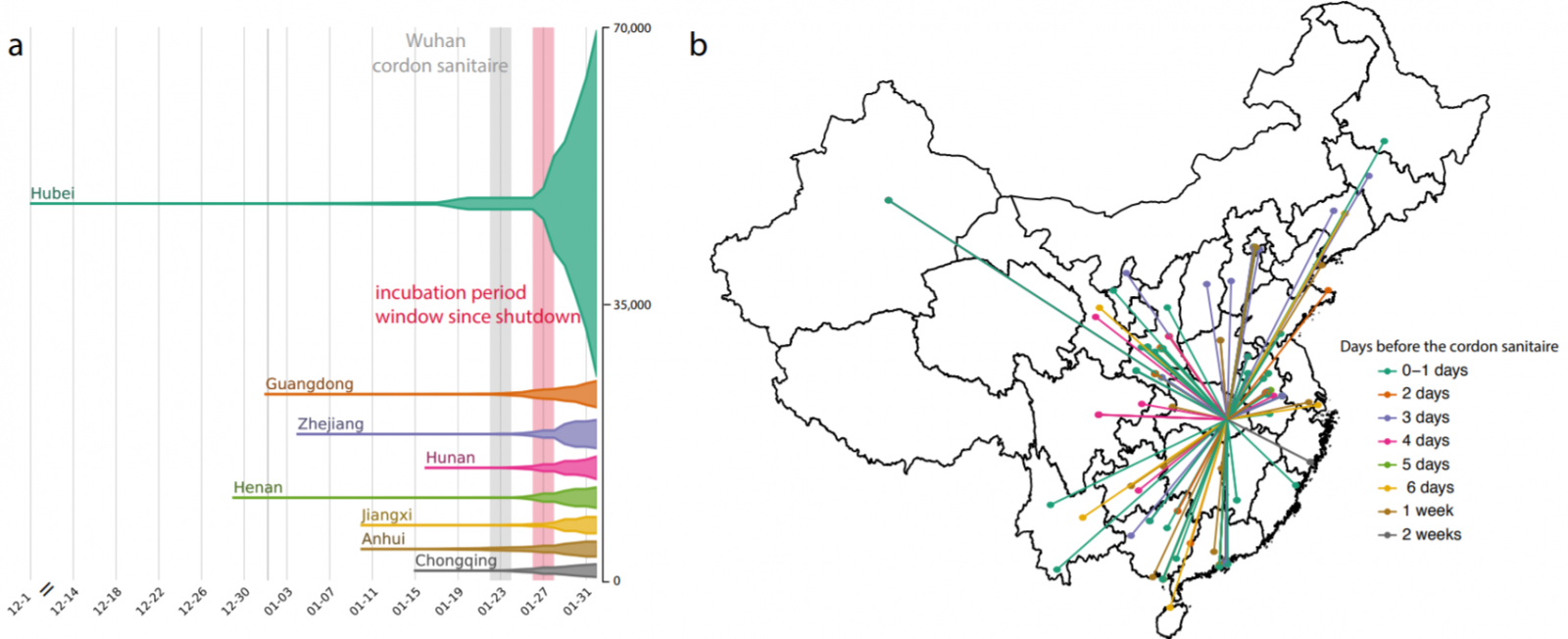 (a) The epidemic curve of the COVID-19 outbreak in provinces in China. (b) Map of COVID-19 confirmed cases (n = 554) that had reported travel history from Wuhan before travel restrictions.