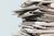 UK media coverage of AI dominated by industry and industry sources
