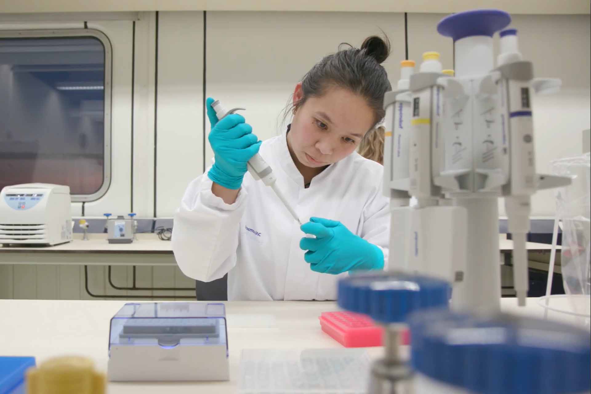 Wat ga je doen als analist?