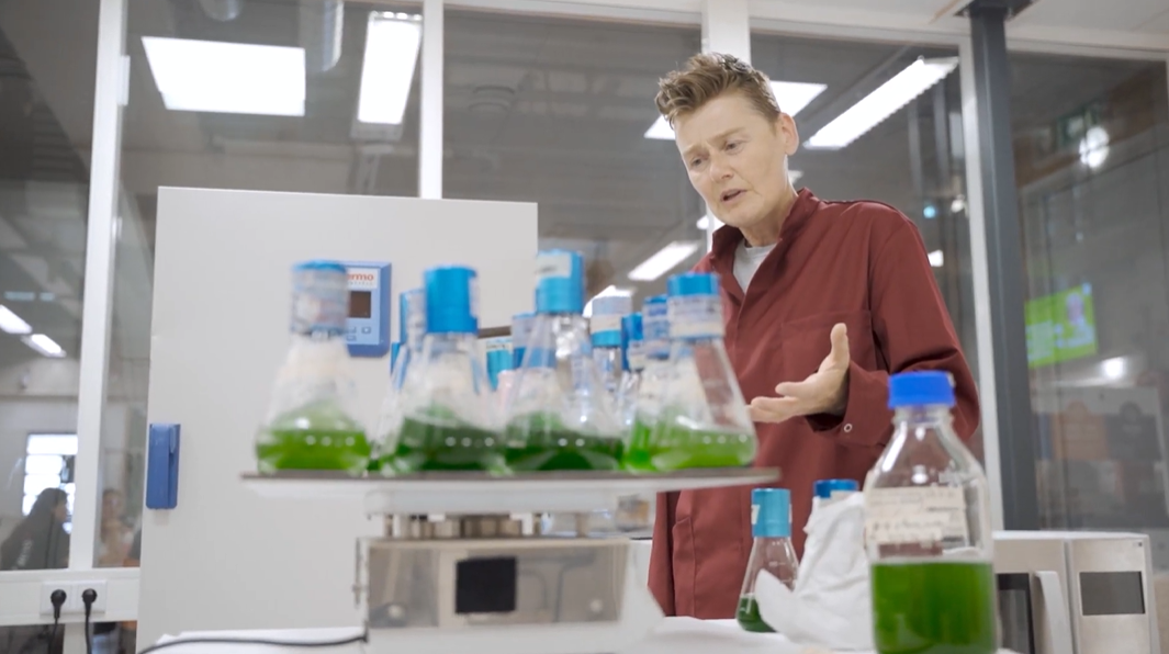 Risk Hazekamp van Caradt