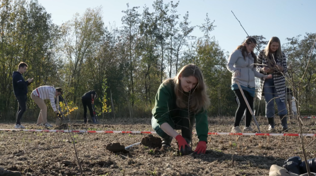 Alumni Boomplantdag 2022