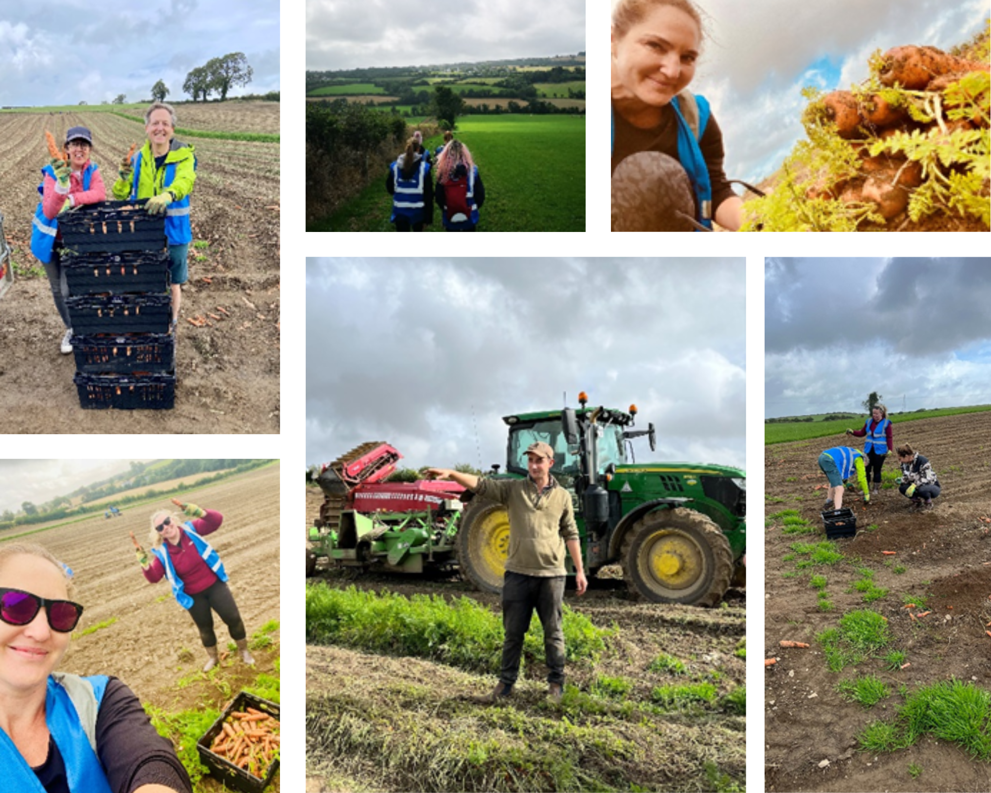 Volunteers-In-Field