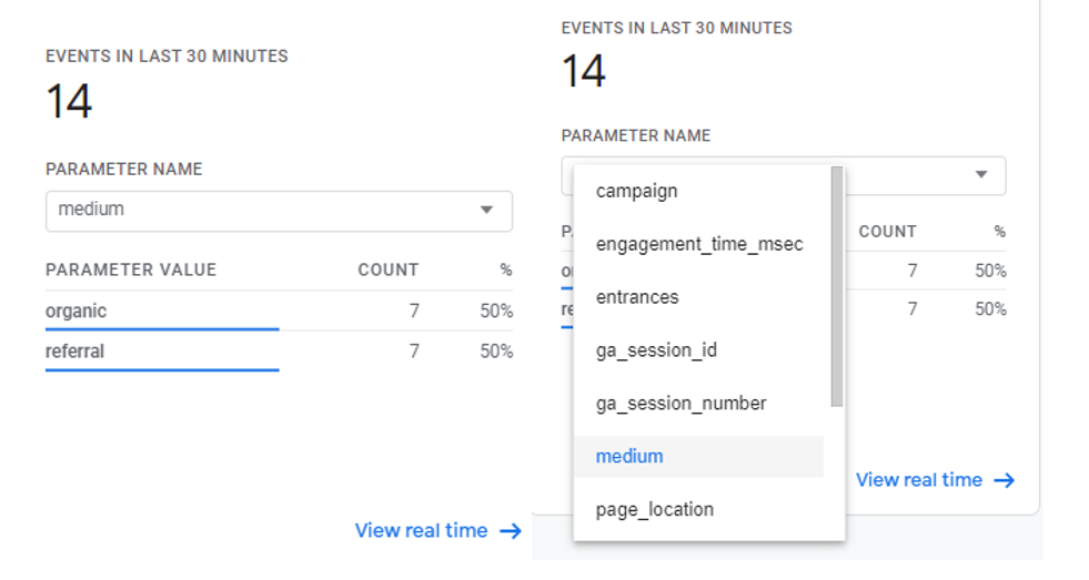 Screenshot of list of parameters against a page_view event