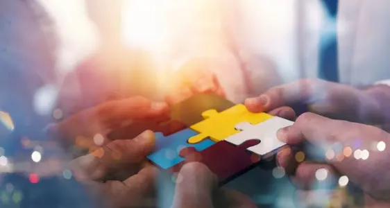 Il Servizio di coordinamento