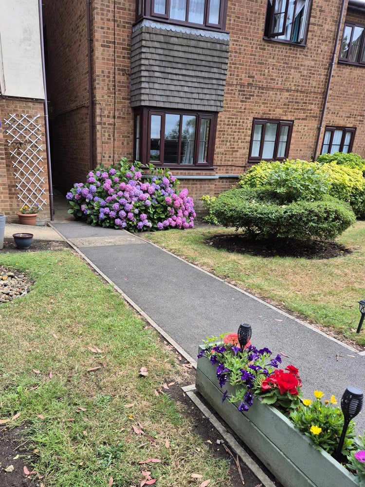 Parkfield House Community Garden - Thriving Community Garden award_1
