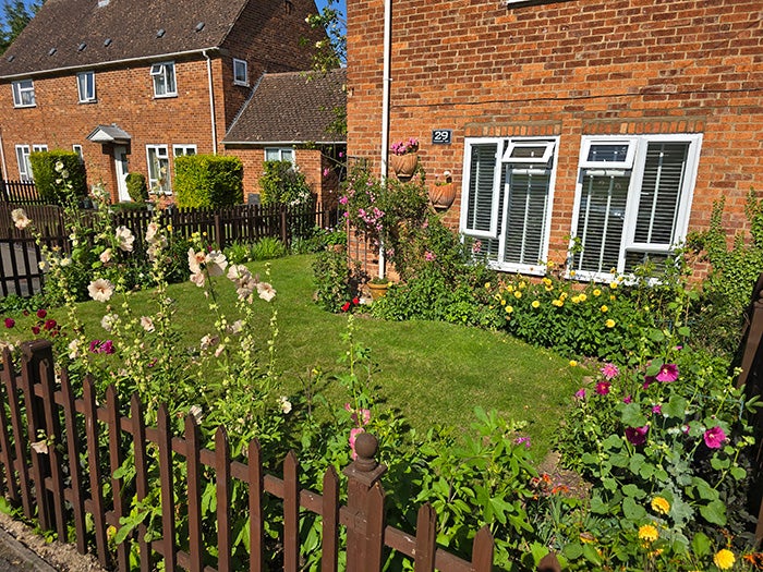 A beautiful green garden
