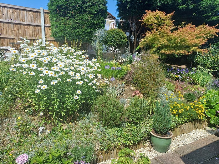 A beautiful green garden