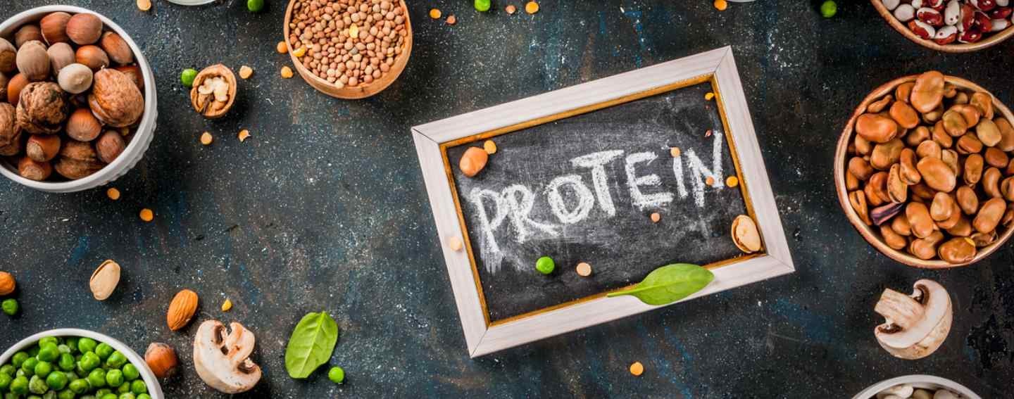 How Can Alternative Protein Companies Attract and Retain the Right Talent?