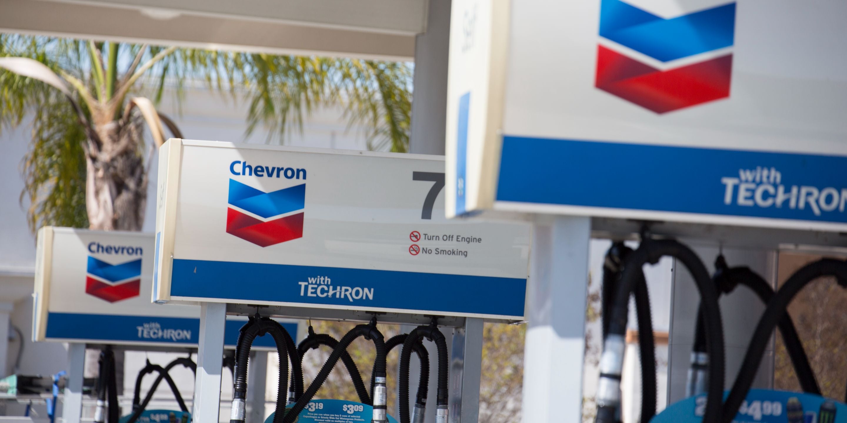 Insights - Trading houses and funds up their game on decarbonisation