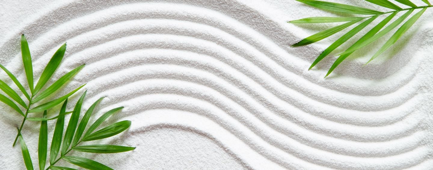 HC Group announces new strategic partner: Wellnest Retreats SA