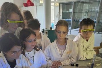 Im Chemie-Workshop wurde fleißig experimentiert. (Foto: Deutsche Bildungsdirektion/Alexander Ulbricht)