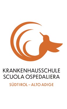 Siegreich: Die Krankenhauslehpersonen haben sich für den Entwurf Kolibri entschieden. (Quelle: Deutsche Bildungsdirektion)