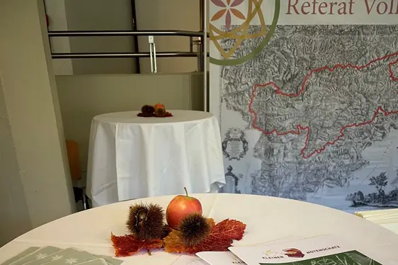 @Landesmusikschuldirektion