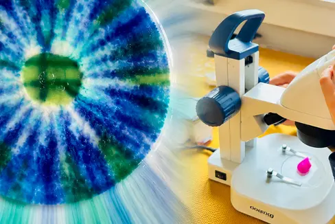 Forschertag 2026: Licht und Farben lassen sich auf vielfältige Weise erforschen (Foto: Grundschule Franzensfeste)