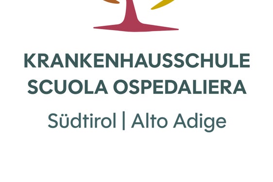 Siegreich: Die Krankenhauslehpersonen haben sich für den Entwurf Kolibri entschieden. (Quelle: Deutsche Bildungsdirektion)