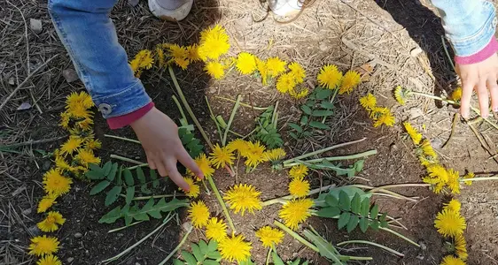 Verpflichtendes Kindergartenjahr