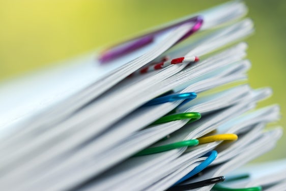 Das neue Unterrichtsjahr beginnt in einem Monat, die Vorbereitungen dafür laufen: Ihre Wahl von Stellen an Grundschulen, Mittelschulen und Oberschulen für das Schuljahr 2025/2026 konnten Lehrerinnen und Lehrer bis 1. August online durchführen. Jetzt sind die Schulen an der Reihe, 1099 Stellen sind noch frei. (Foto: LPA/Shutterstock)