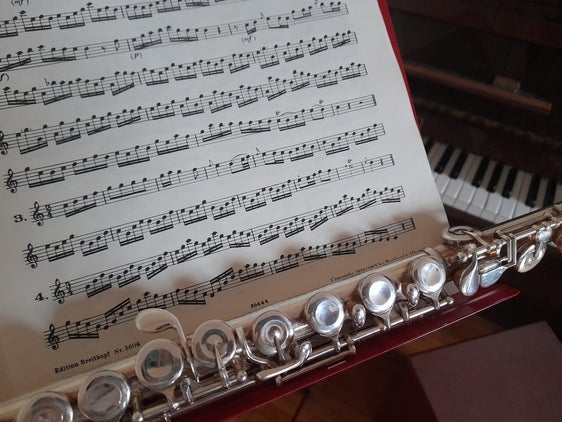 Im Oktober beginnen Ausbildungslehrgänge zum Erwerb der Lehrbefähigung für die Wettbewerbsklassen A-55 Musikinstrument – Oberschule und A-56 Musikinstrument – Mittelschule. (Foto: LPA/Maja Clara)