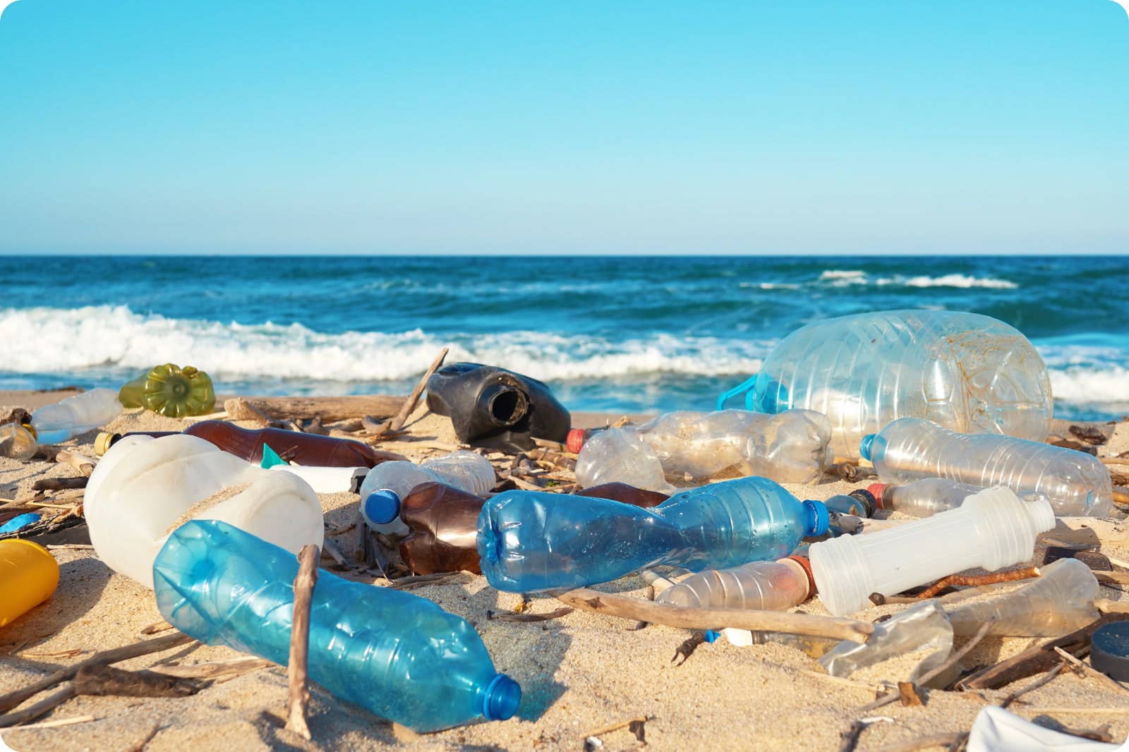 Any beach, anywhere; (but what is still in the oceans?)