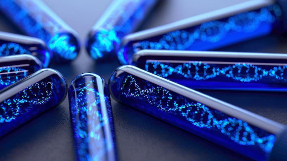 Article card header image
