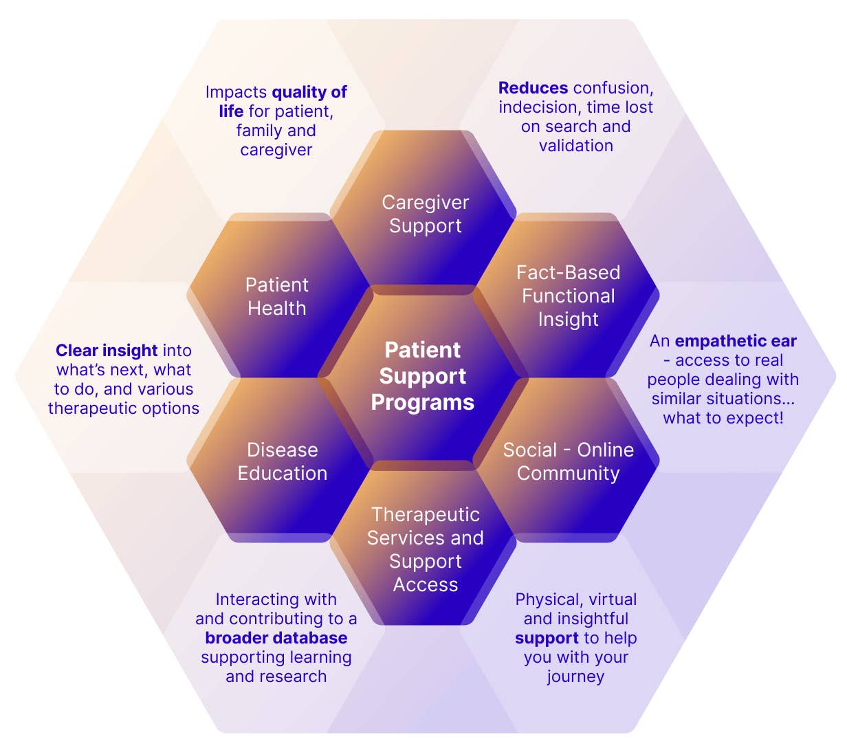 Figure 1: PSP Facilitated HCP-Patient Inter-relationships