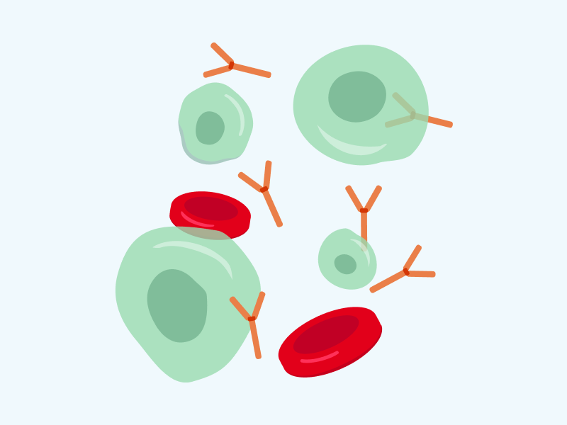 illustration myeloma illustration myeloma