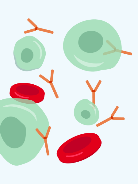 illustration myeloma illustration myeloma