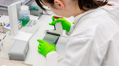 Pipetting process in the DKMS laboratory Pipetting process in the DKMS laboratory