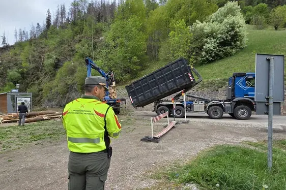 In sei giorni, gli operai dell'impresa specializzata hanno abbattuto e rimosso oltre 3000 alberi. (Foto: USP/Ispettorato forestale Brunico/Stazione forestale San Vigilio di Marebbe)