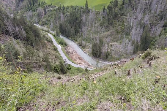 Durch die Holzschlägerungsarbeiten konnte die Gefahr für die darunter befindliche Straße verringert werden. (Foto: LPA/Forstinspektorat Bruneck/Forststation St. Vigil in Enneberg)