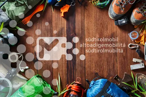 Symbolbild Südtirolmobil (Grafik Südtirol mobil/STA)