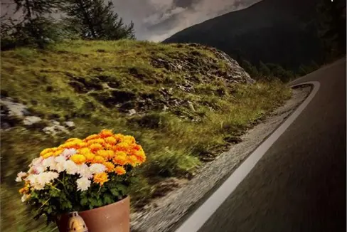 Plakat No Credit 2021