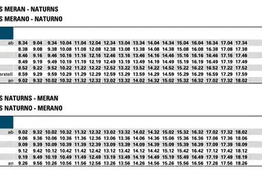 Am Ostermontag wird neben dem bereits bestehenden Ersatzverkehr (Linie B250) auch die zusätzliche Linie 251 in Betrieb genommen. Die Fahrpläne der neuen Linie sind auf dem Bild zu sehen: Sie können im PDF-Format unter Downloads heruntergeladen werden. (Foto: LPA/Landesamt für öffentlichen Nahverkehr)