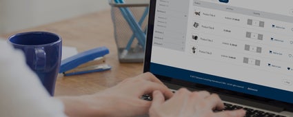 B2B Customer Portal