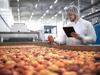 Become a future-proof food business