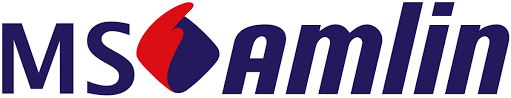 MS Amlin