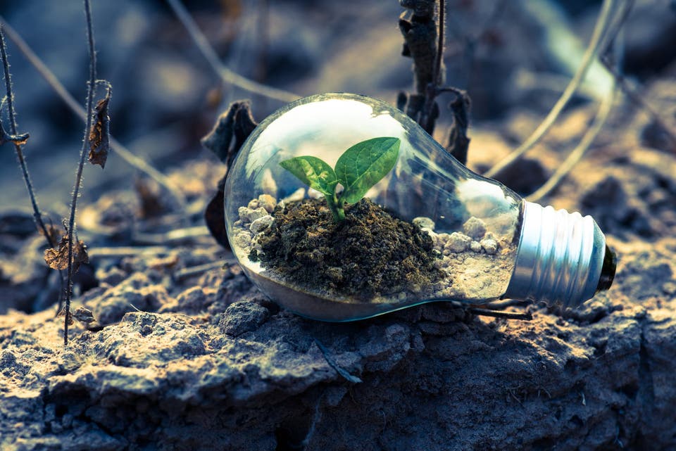 Renewable Electricity