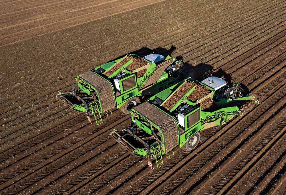 Lamb Weston/Meijer (Kruiningen)