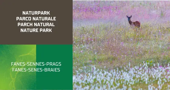 4/7 Naturpark Fanes-Sennes-Prags