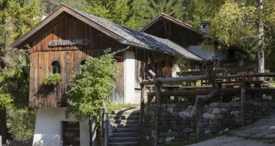 Infopoint Steger Säge Dier