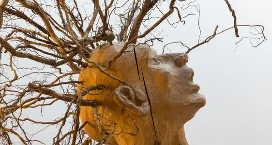 Centro visite Fanes-Senes-Braies (Archivio Ufficio Natura, Foto Sepp Hackhofer)