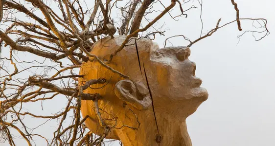 La Ciasa dl Parch natural sciöche finestra sön le parch natural