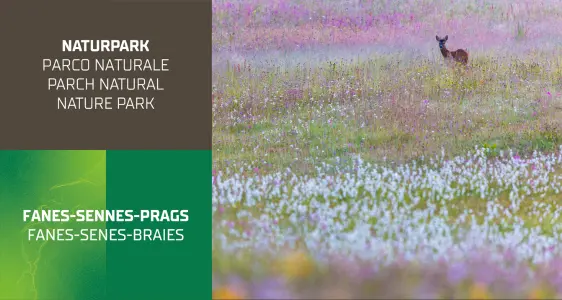 4/7 Naturpark Fanes-Sennes-Prags