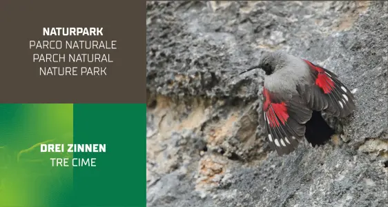 6/7 Naturpark Drei Zinnen